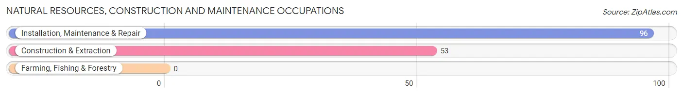 Natural Resources, Construction and Maintenance Occupations in Rineyville