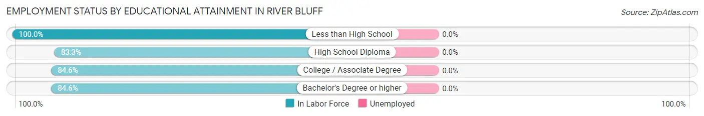 Employment Status by Educational Attainment in River Bluff