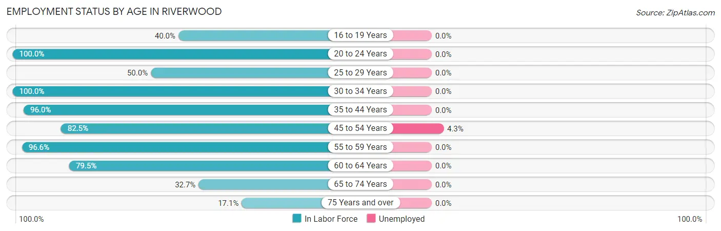 Employment Status by Age in Riverwood