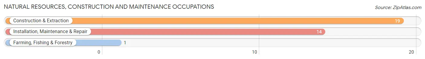 Natural Resources, Construction and Maintenance Occupations in Robards