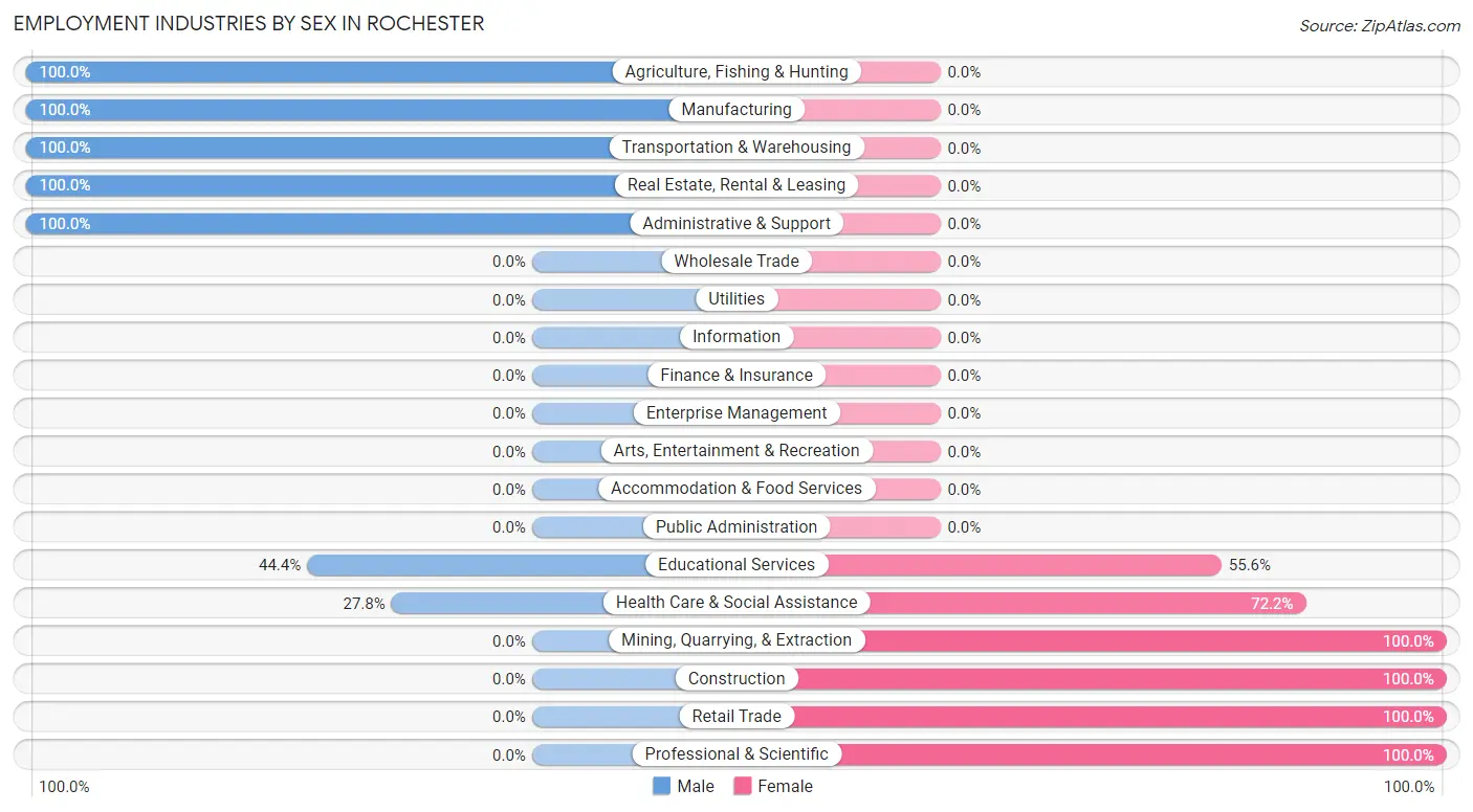 Employment Industries by Sex in Rochester