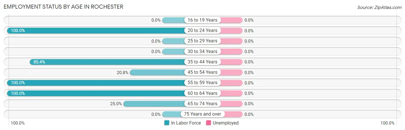 Employment Status by Age in Rochester