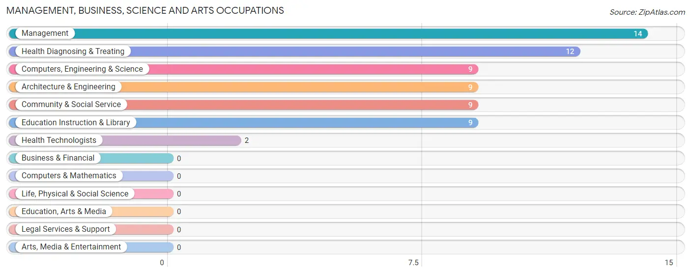 Management, Business, Science and Arts Occupations in Rochester