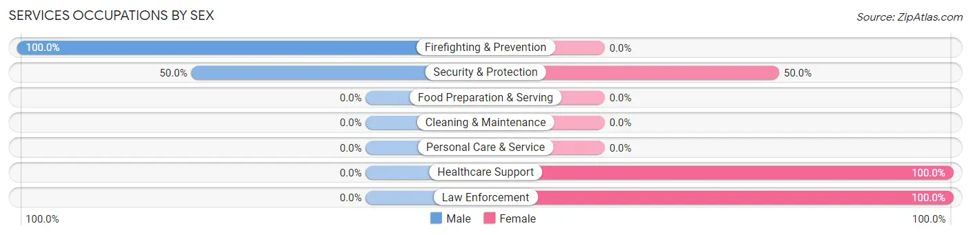 Services Occupations by Sex in Rochester