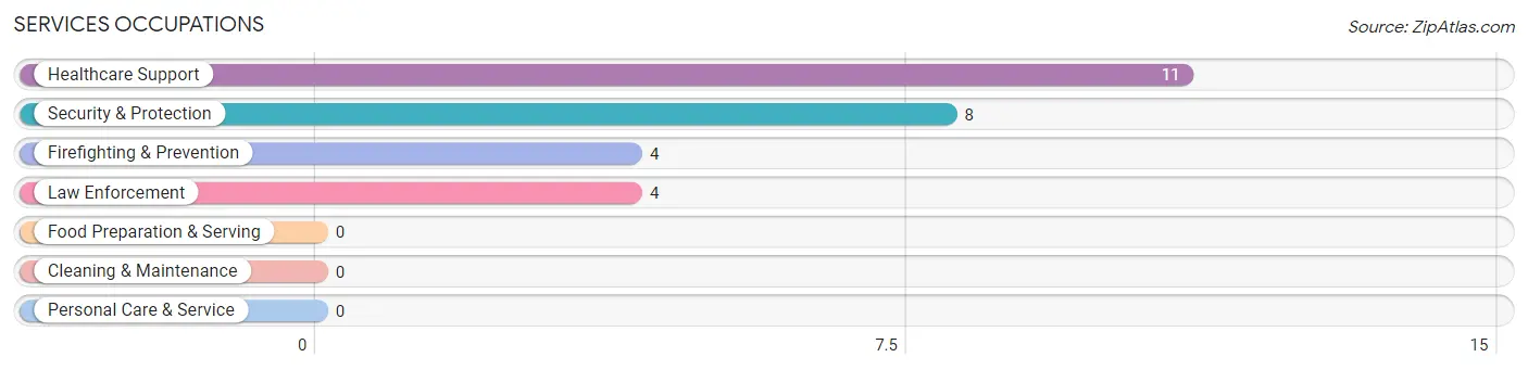 Services Occupations in Rochester
