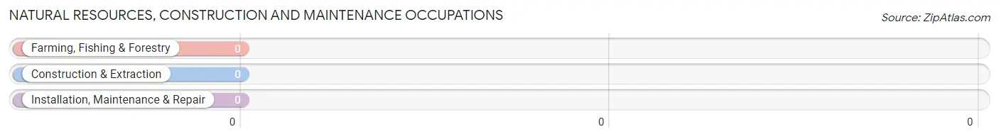 Natural Resources, Construction and Maintenance Occupations in Rockholds
