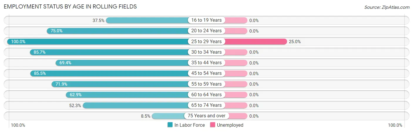 Employment Status by Age in Rolling Fields