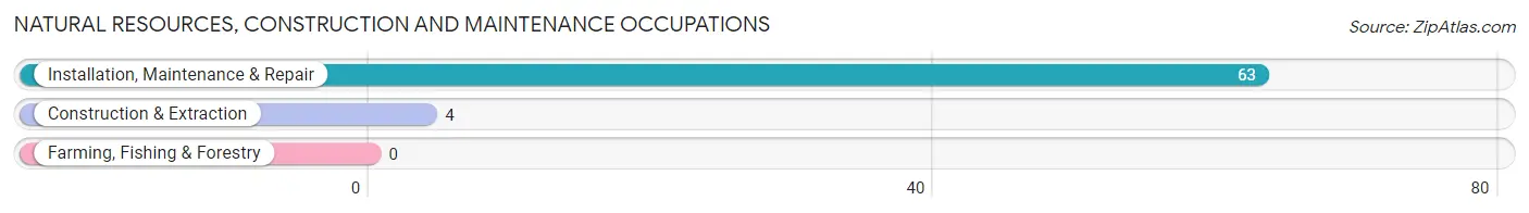 Natural Resources, Construction and Maintenance Occupations in Sanders