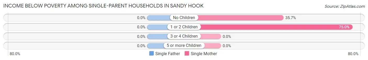 Income Below Poverty Among Single-Parent Households in Sandy Hook