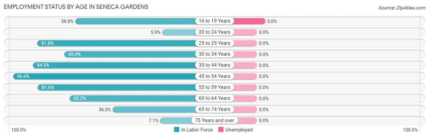 Employment Status by Age in Seneca Gardens