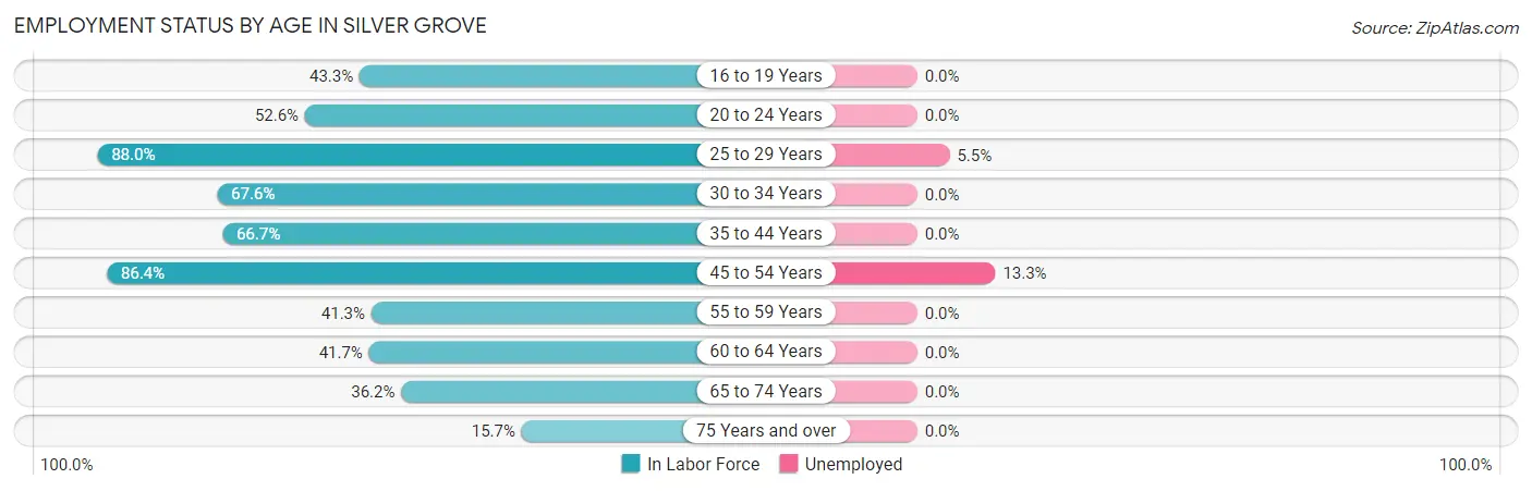 Employment Status by Age in Silver Grove