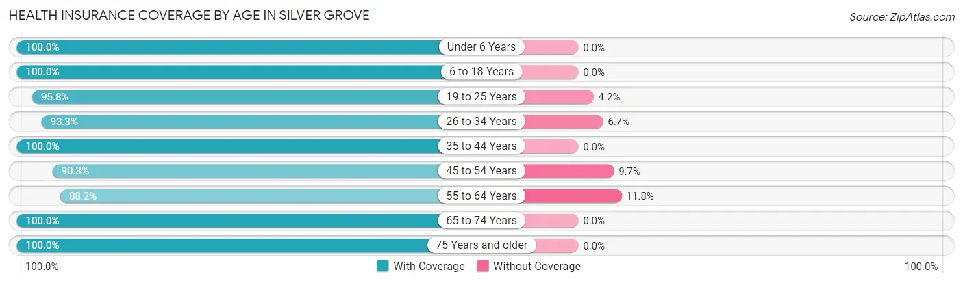 Health Insurance Coverage by Age in Silver Grove