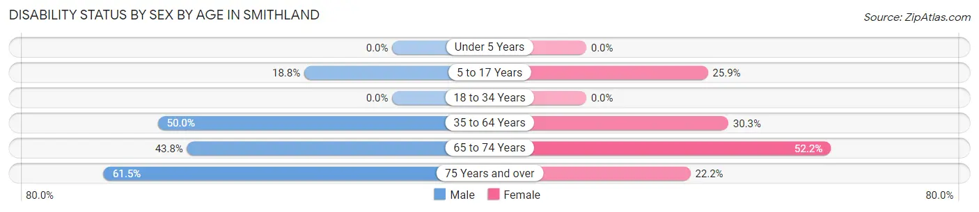 Disability Status by Sex by Age in Smithland