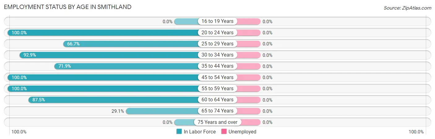 Employment Status by Age in Smithland