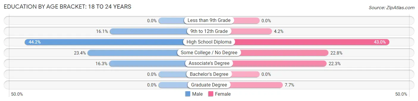 Education By Age Bracket in Somerset: 18 to 24 Years