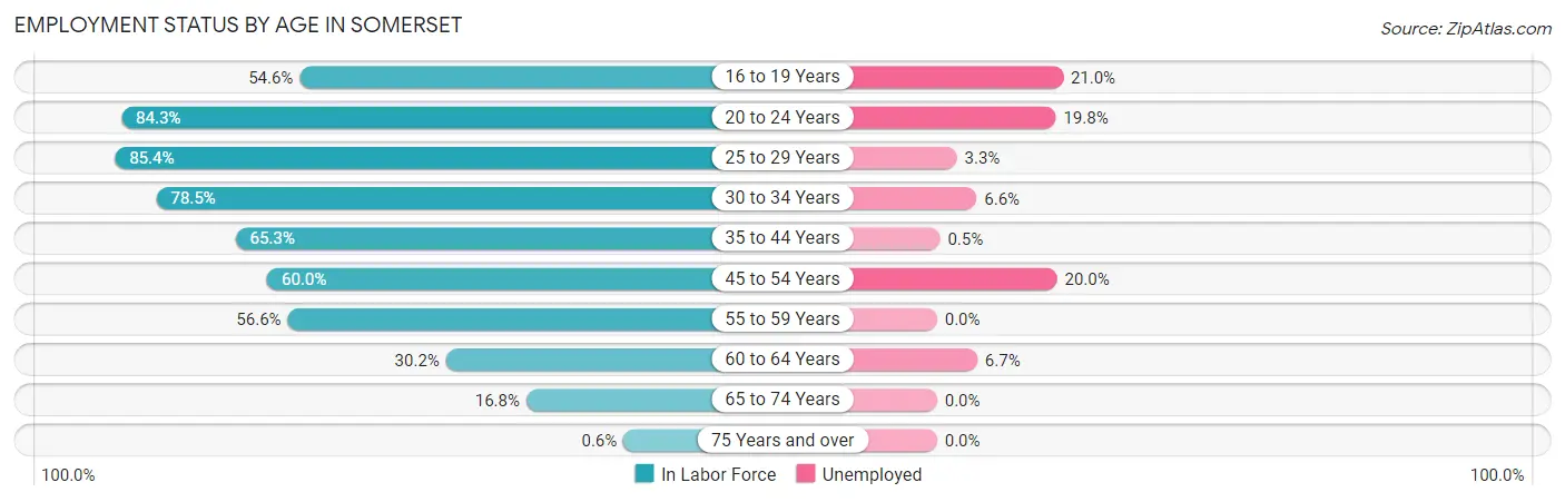 Employment Status by Age in Somerset