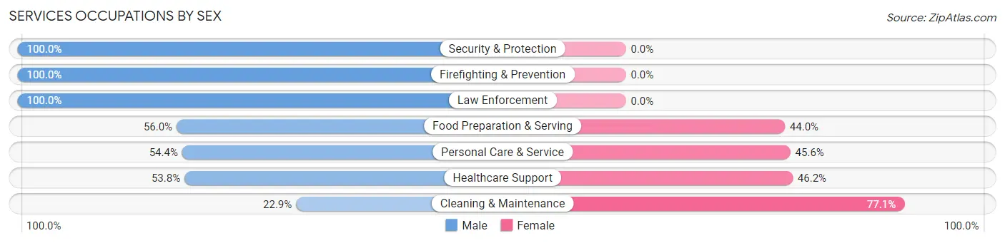 Services Occupations by Sex in Somerset