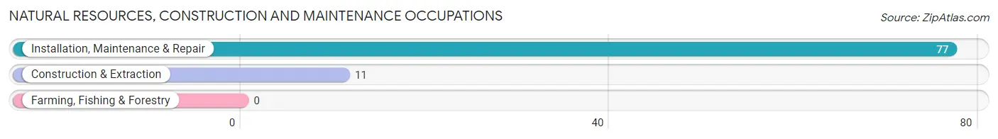 Natural Resources, Construction and Maintenance Occupations in South Shore