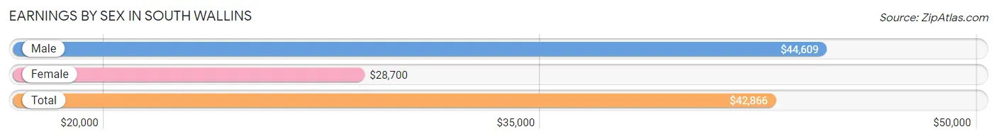 Earnings by Sex in South Wallins