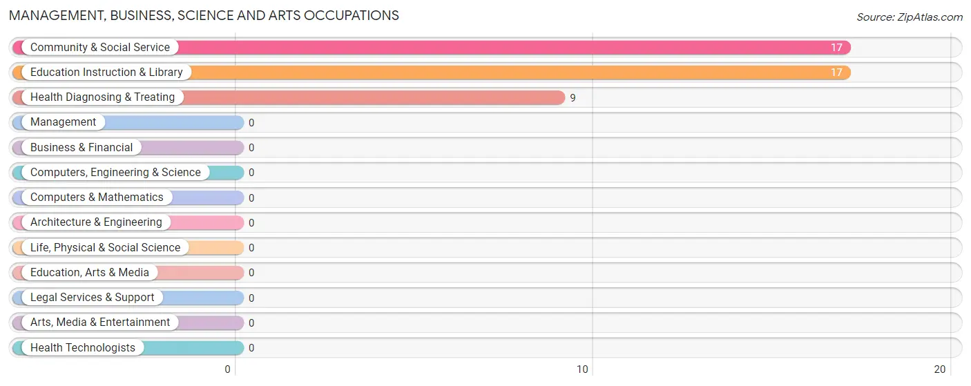Management, Business, Science and Arts Occupations in South Wallins