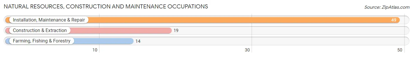 Natural Resources, Construction and Maintenance Occupations in South Wallins