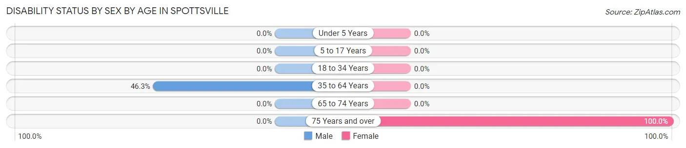Disability Status by Sex by Age in Spottsville