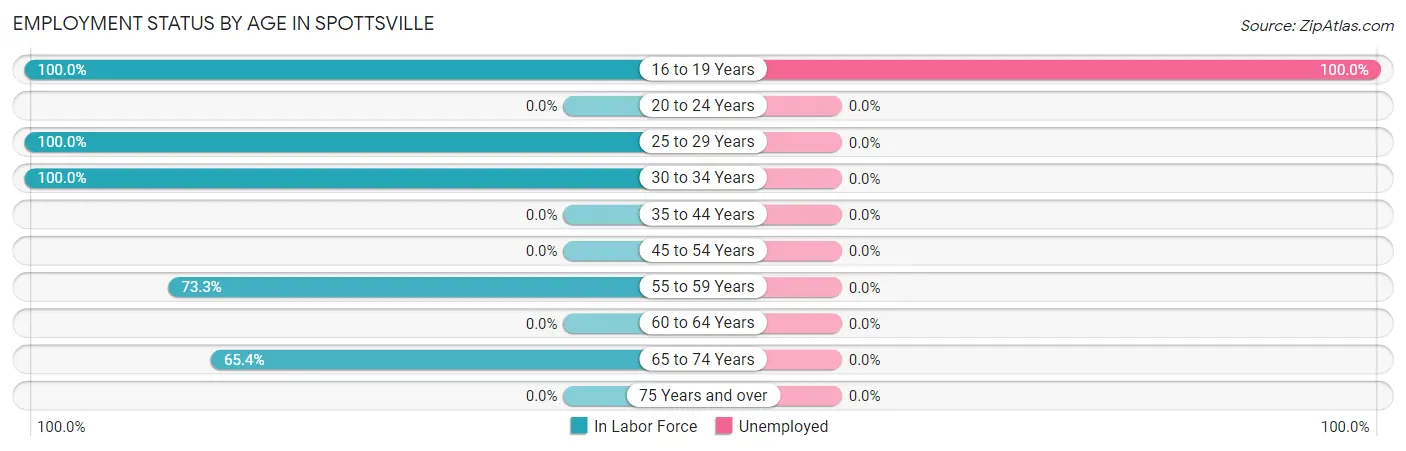 Employment Status by Age in Spottsville
