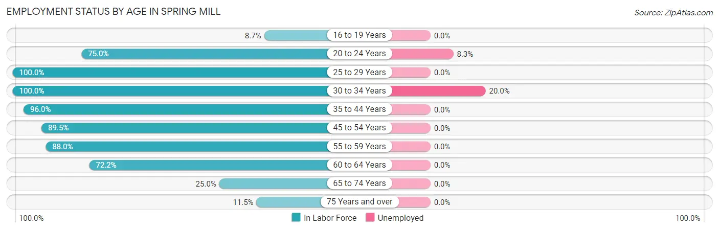 Employment Status by Age in Spring Mill
