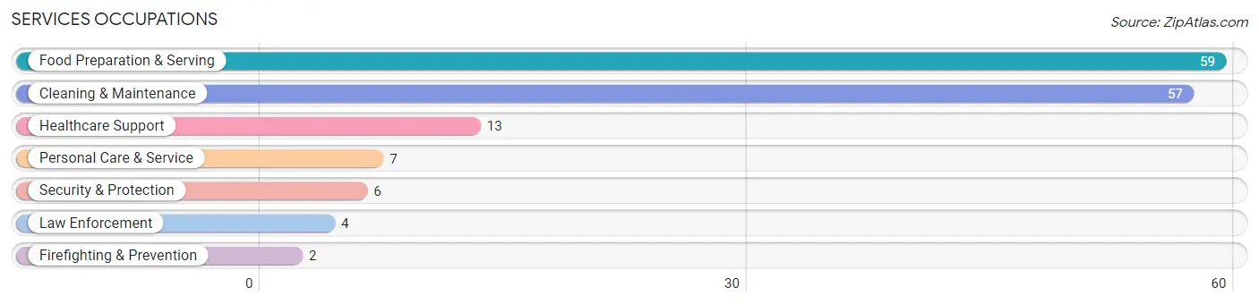 Services Occupations in Sturgis