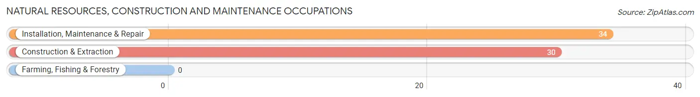 Natural Resources, Construction and Maintenance Occupations in Summer Shade