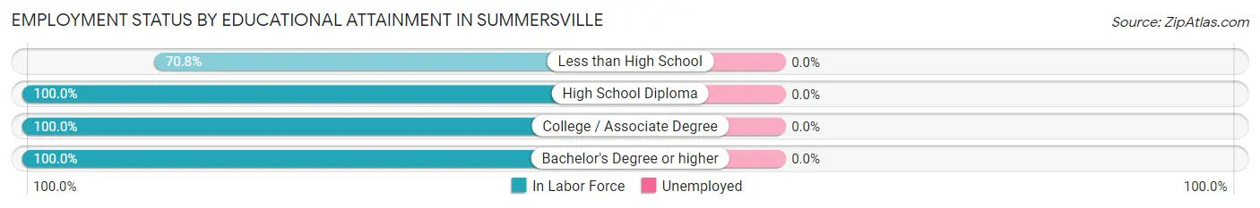 Employment Status by Educational Attainment in Summersville
