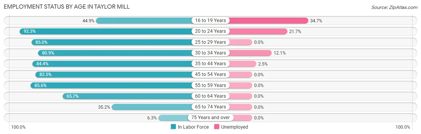 Employment Status by Age in Taylor Mill