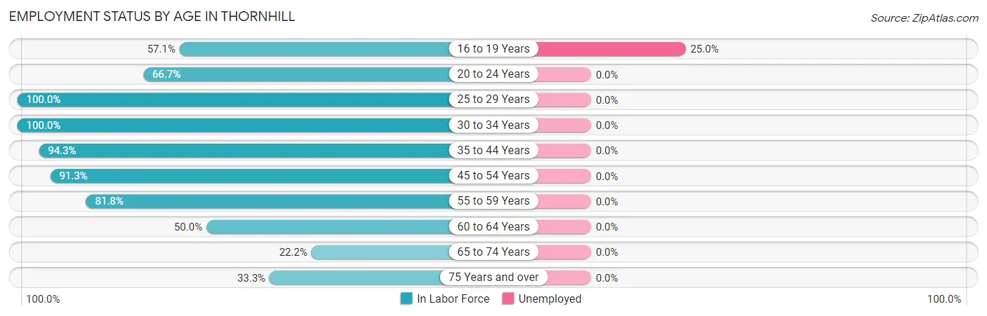 Employment Status by Age in Thornhill