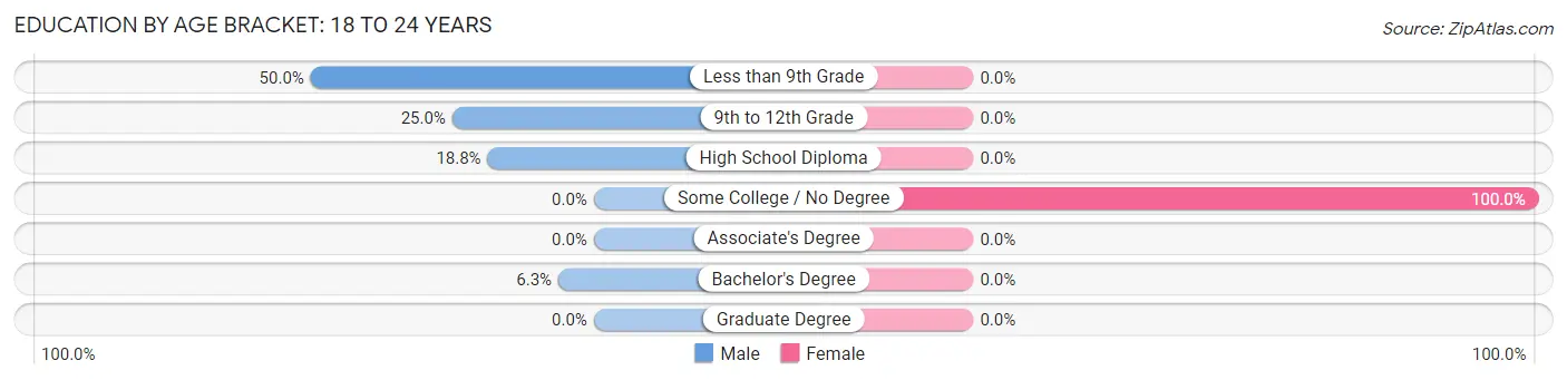 Education By Age Bracket in Trenton: 18 to 24 Years