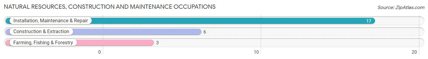 Natural Resources, Construction and Maintenance Occupations in Trenton
