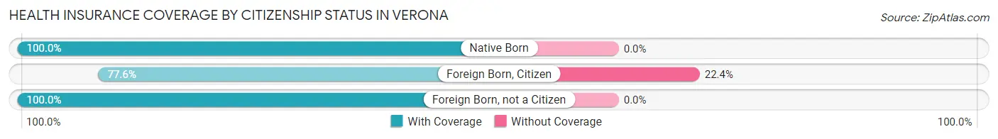 Health Insurance Coverage by Citizenship Status in Verona