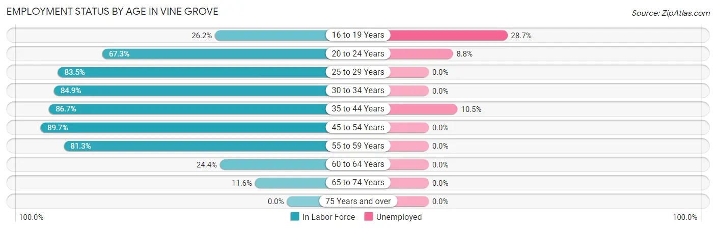 Employment Status by Age in Vine Grove
