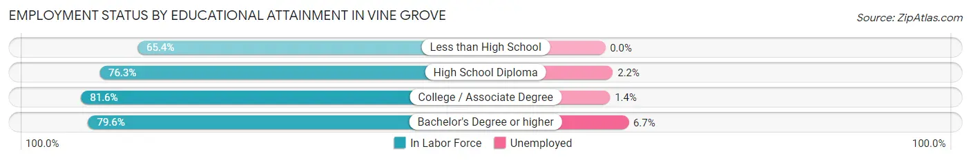 Employment Status by Educational Attainment in Vine Grove