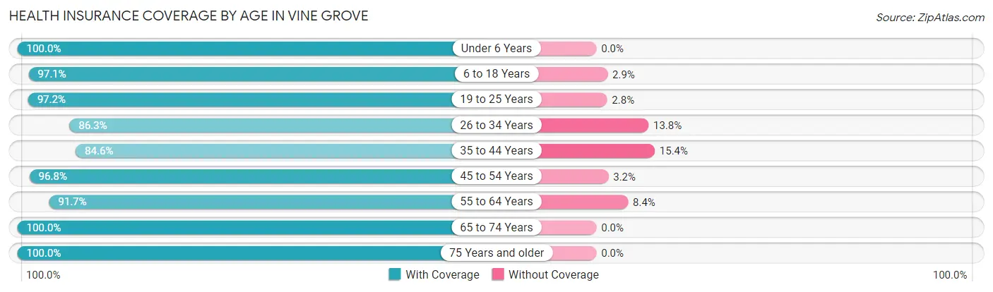 Health Insurance Coverage by Age in Vine Grove