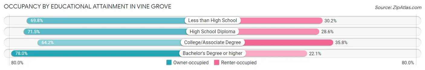 Occupancy by Educational Attainment in Vine Grove