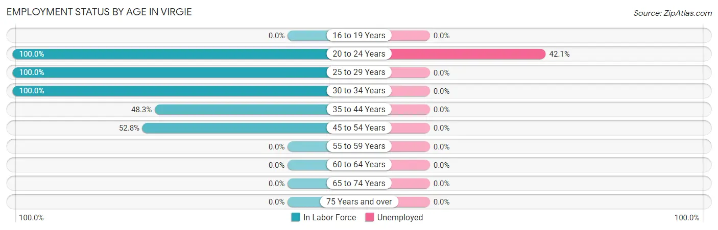 Employment Status by Age in Virgie