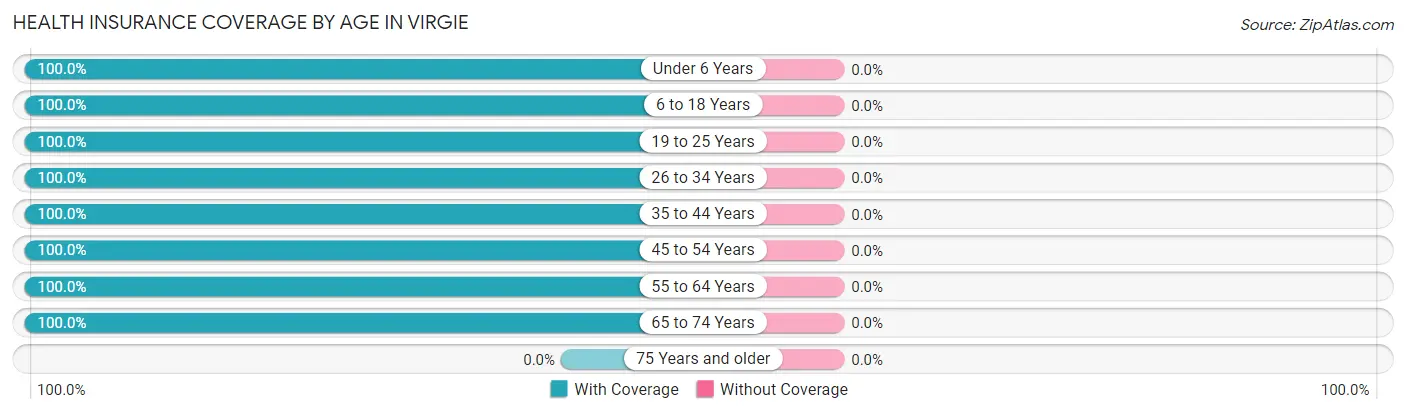 Health Insurance Coverage by Age in Virgie
