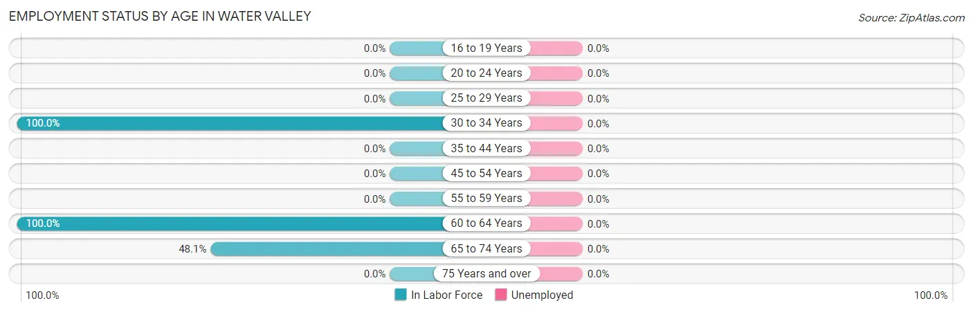 Employment Status by Age in Water Valley
