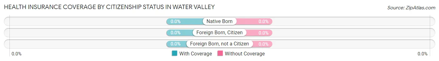 Health Insurance Coverage by Citizenship Status in Water Valley
