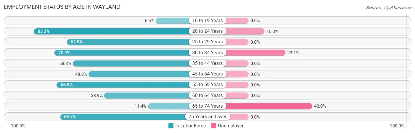 Employment Status by Age in Wayland