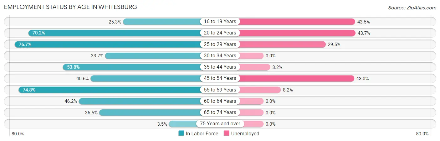 Employment Status by Age in Whitesburg