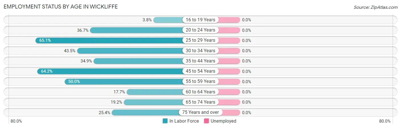 Employment Status by Age in Wickliffe