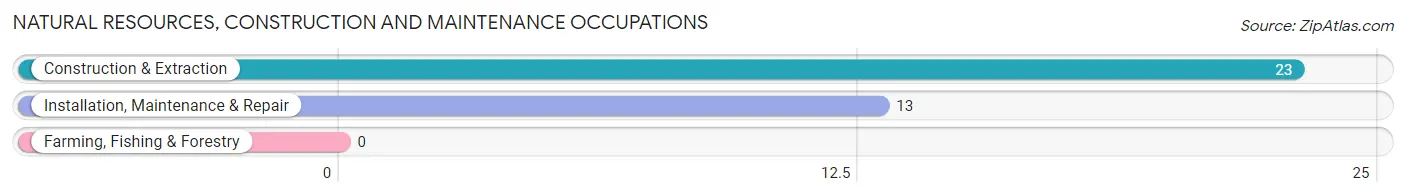 Natural Resources, Construction and Maintenance Occupations in Wickliffe