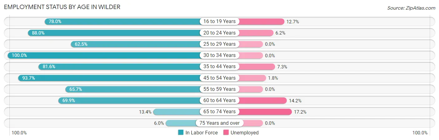 Employment Status by Age in Wilder
