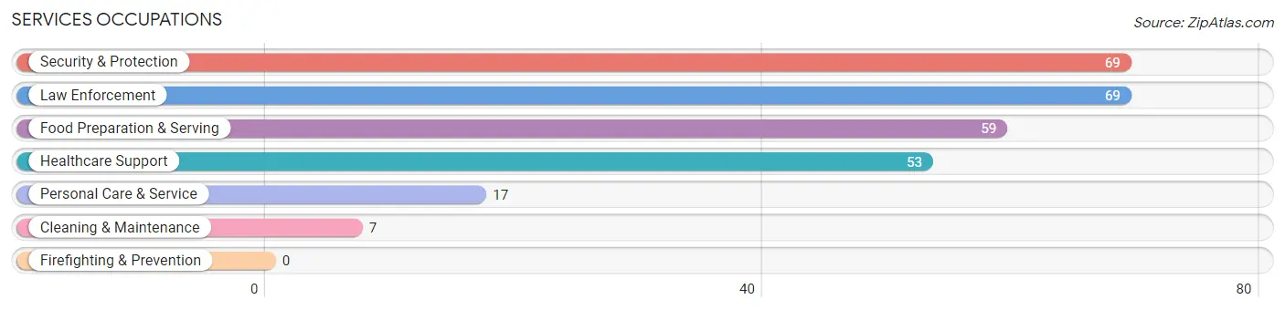 Services Occupations in Wilder